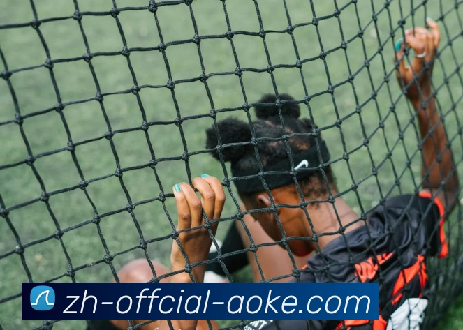 澳客足彩平台生态图